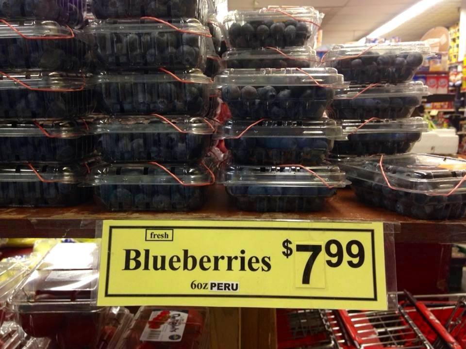 Why U-Pick Blueberries Taste So Much Better Than Store Bought Berries ...